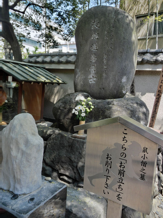 イメージ 12