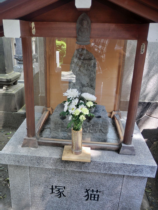 イメージ 13