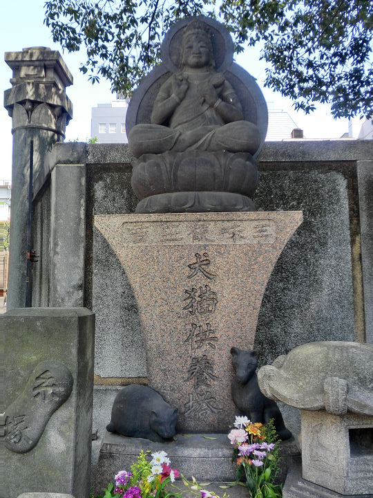 イメージ 14
