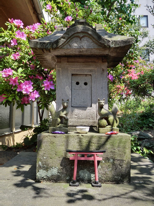 イメージ 19