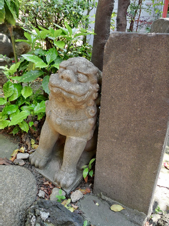 イメージ 22