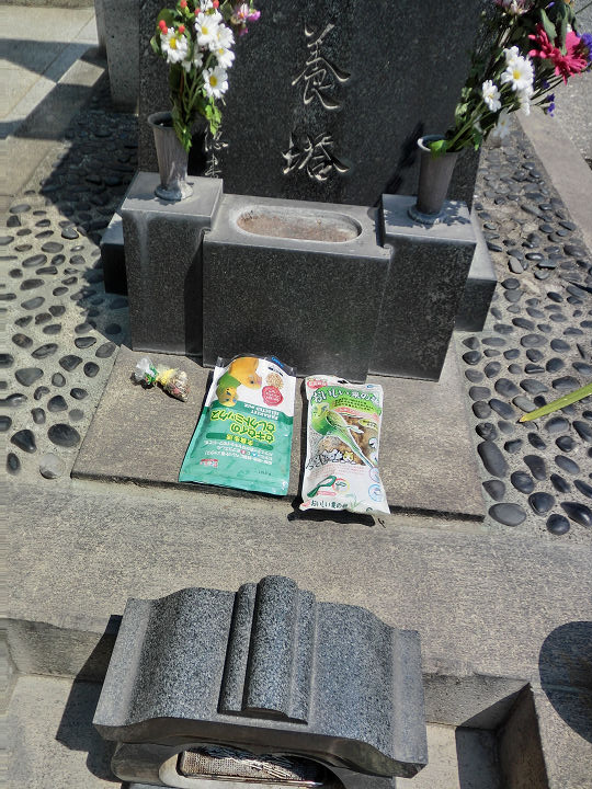 イメージ 7
