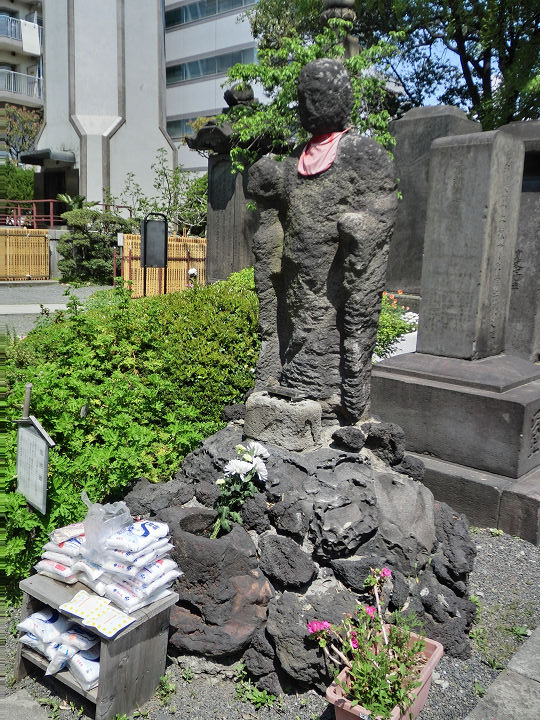 イメージ 10