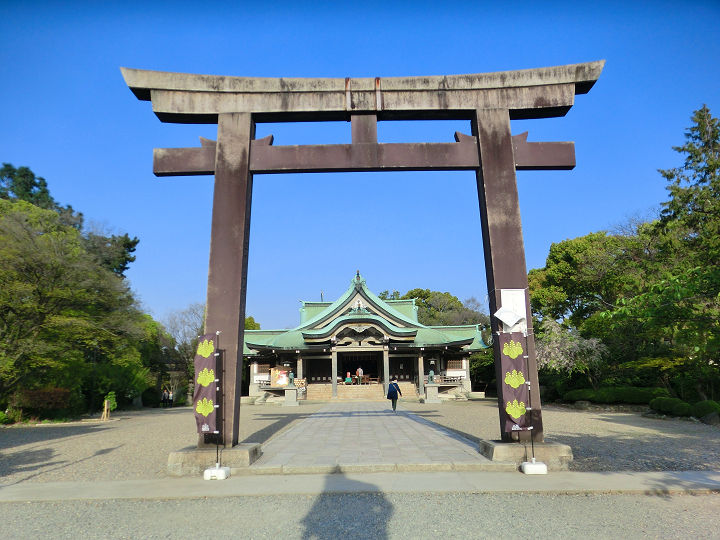 イメージ 4