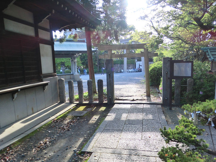 イメージ 6