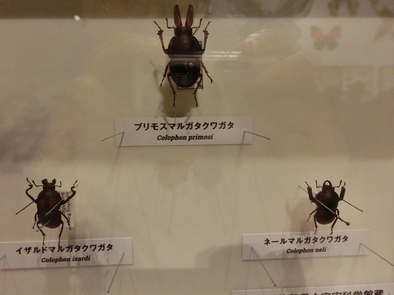 イメージ 25