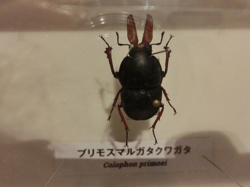 イメージ 26