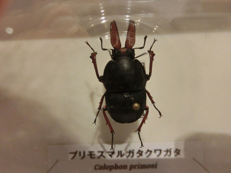 イメージ 29