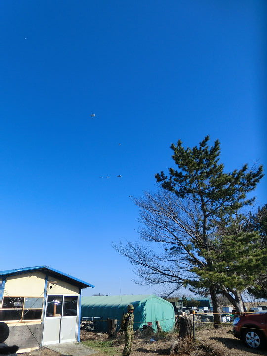 イメージ 11