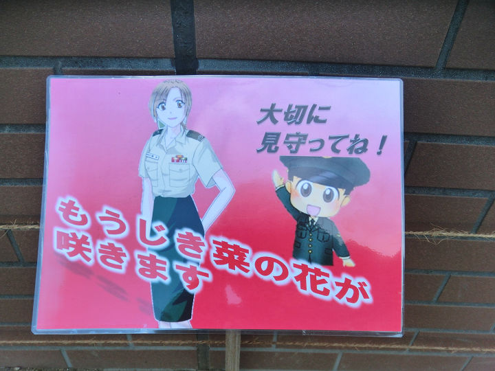イメージ 2