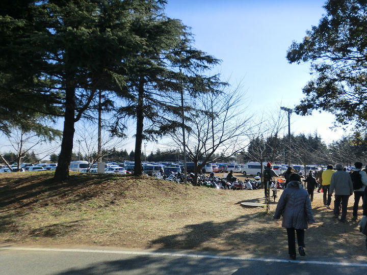 イメージ 6
