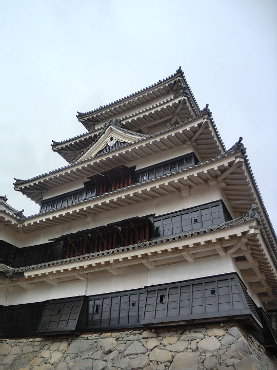 イメージ 8