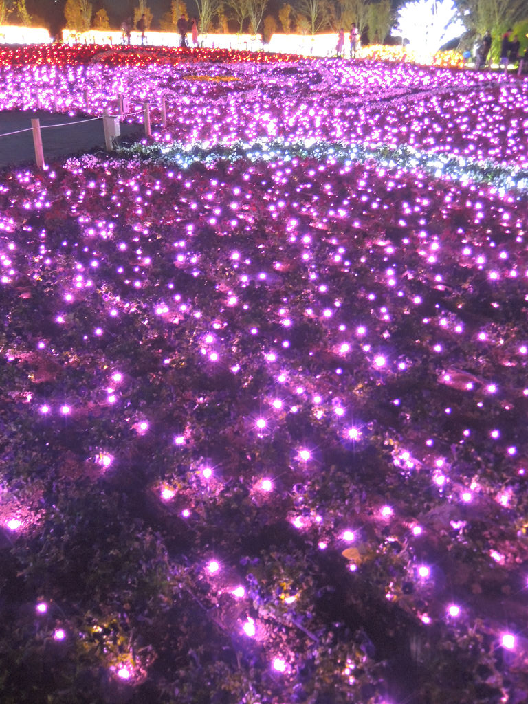 f:id:mishinon:20190819205646j:plain