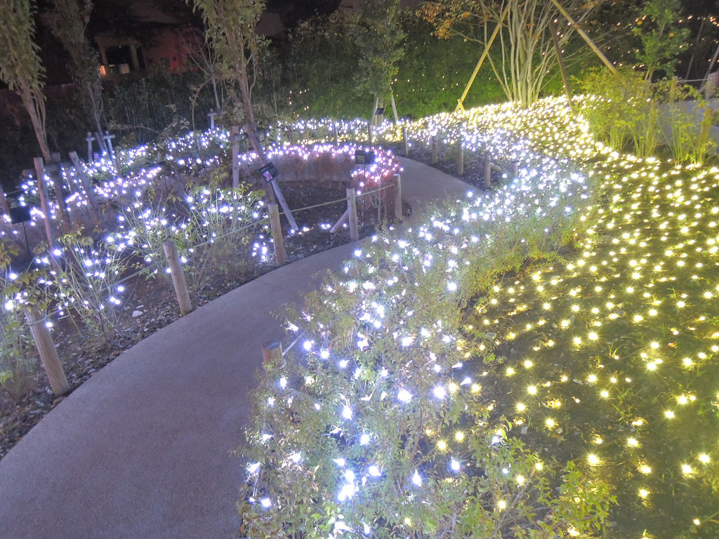 f:id:mishinon:20190819205910j:plain