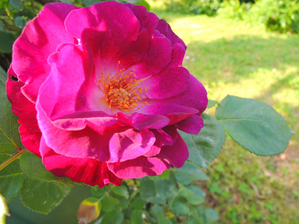 f:id:mishinon:20190826200456j:plain