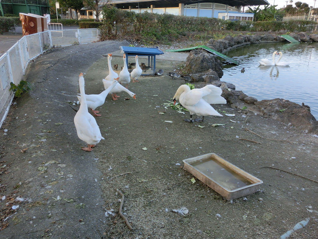 f:id:mishinon:20190906175537j:plain