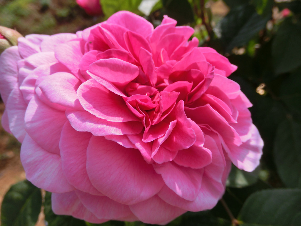 f:id:mishinon:20190915174817j:plain