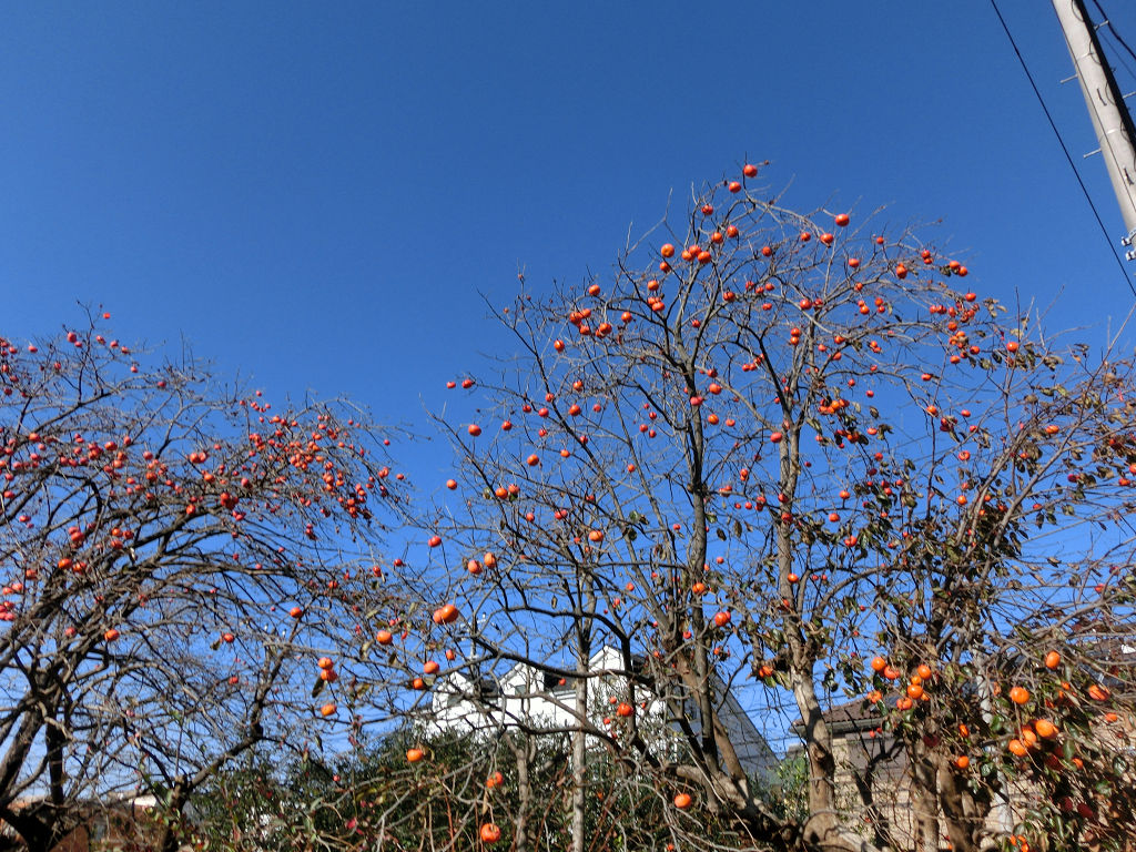 f:id:mishinon:20190920204610j:plain