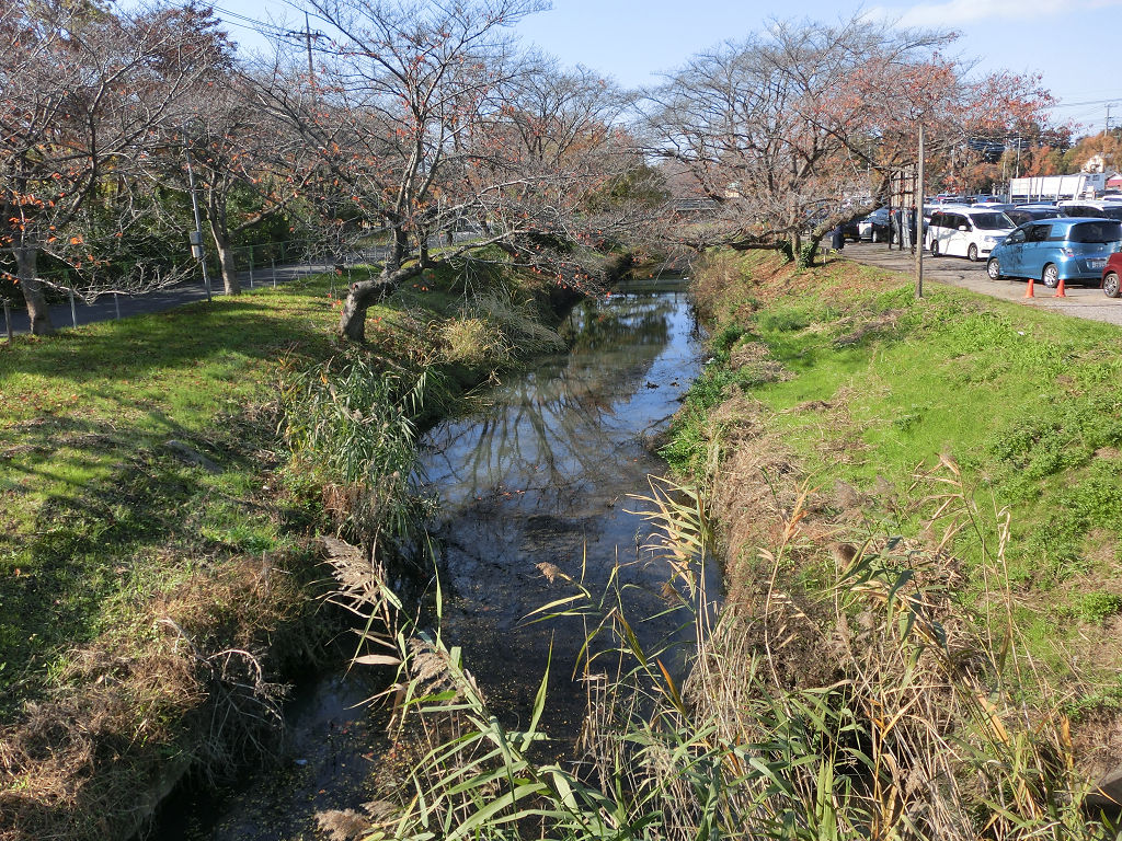 f:id:mishinon:20190920205001j:plain