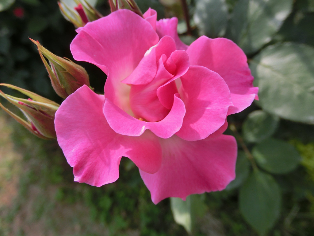 f:id:mishinon:20190923171446j:plain