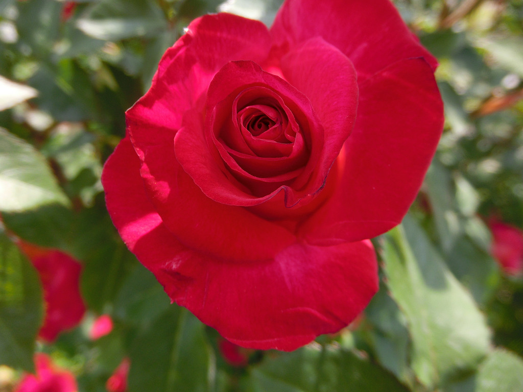 f:id:mishinon:20190923171610j:plain