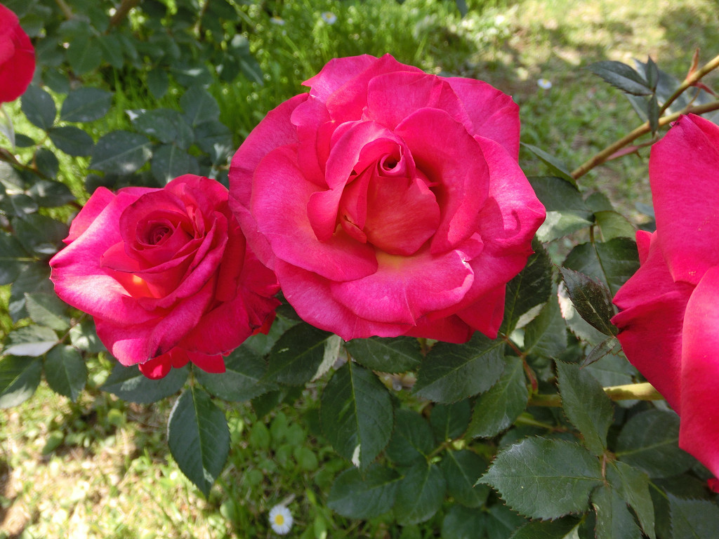 f:id:mishinon:20190923171624j:plain