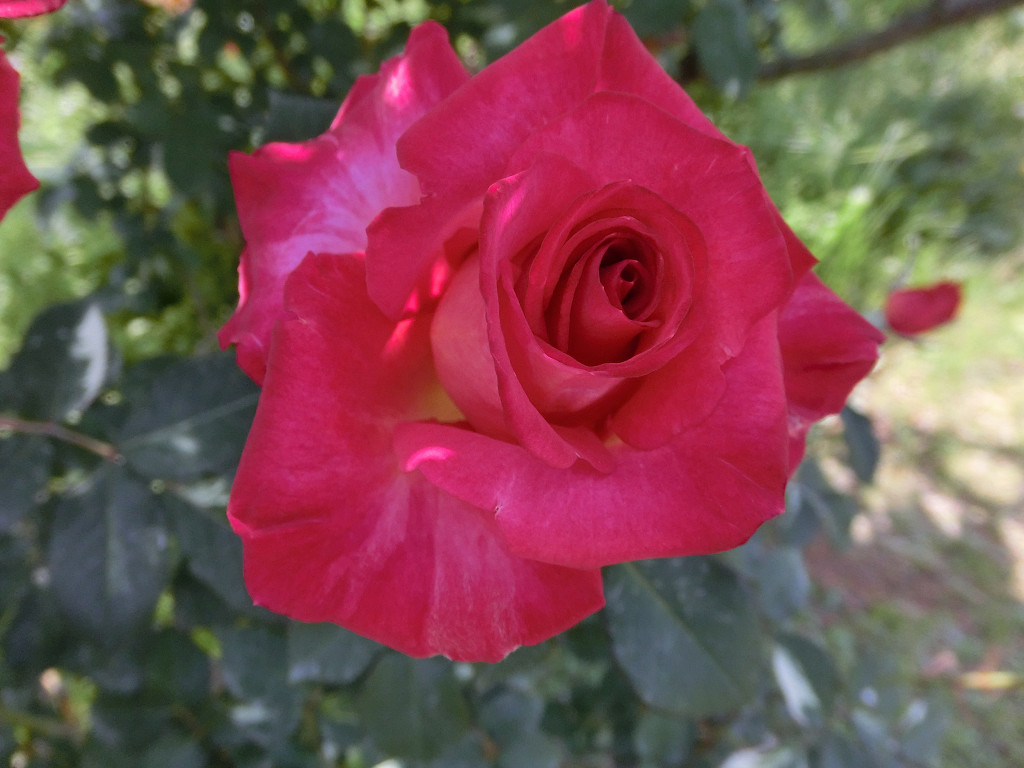 f:id:mishinon:20190923171656j:plain