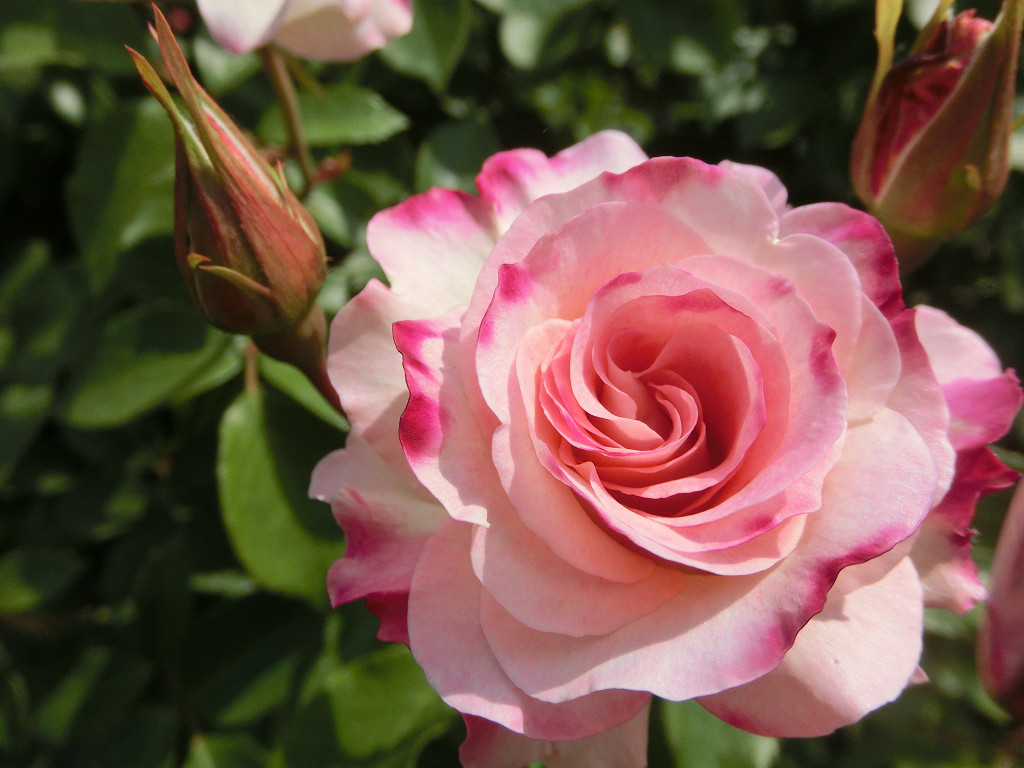 f:id:mishinon:20190923172000j:plain