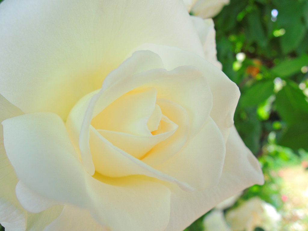 f:id:mishinon:20191027114228j:plain