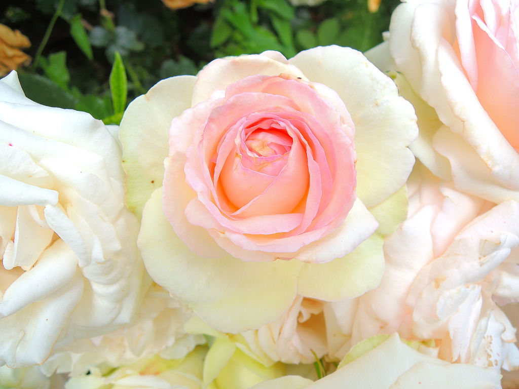 f:id:mishinon:20191213190444j:plain