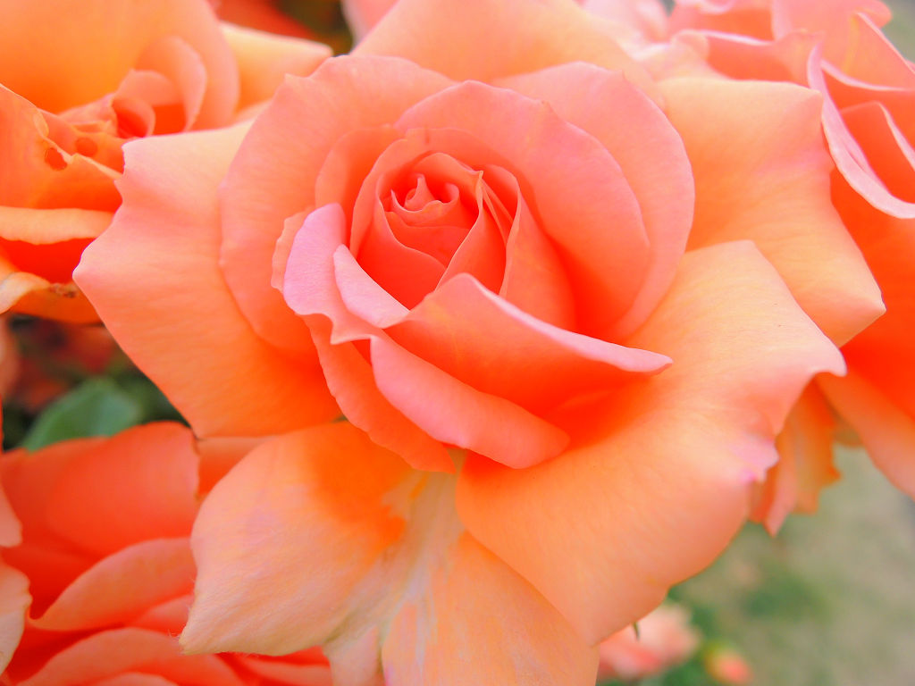 f:id:mishinon:20191213190837j:plain