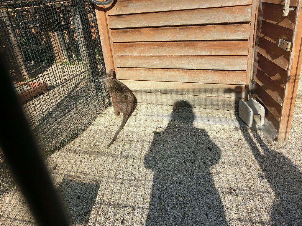 f:id:mishinon:20191214194538j:plain