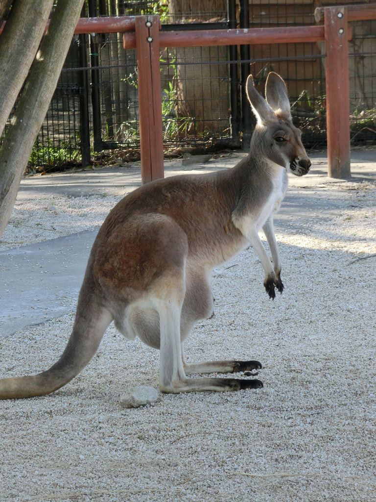 f:id:mishinon:20191214194651j:plain