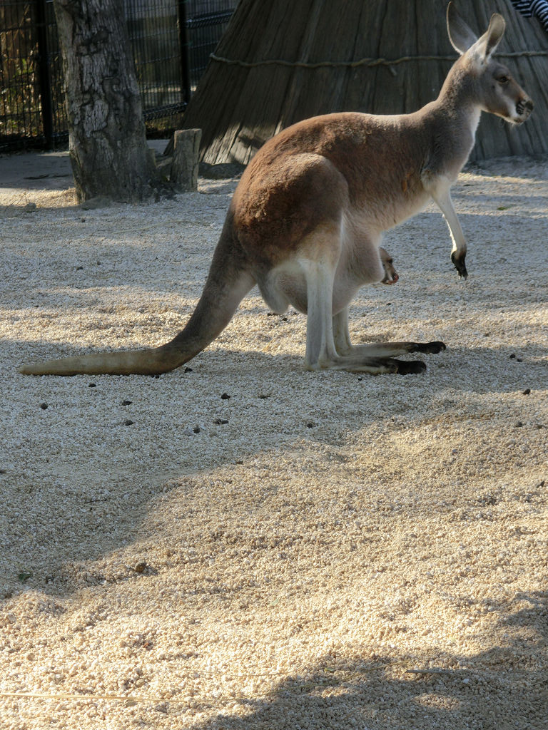 f:id:mishinon:20191214194712j:plain