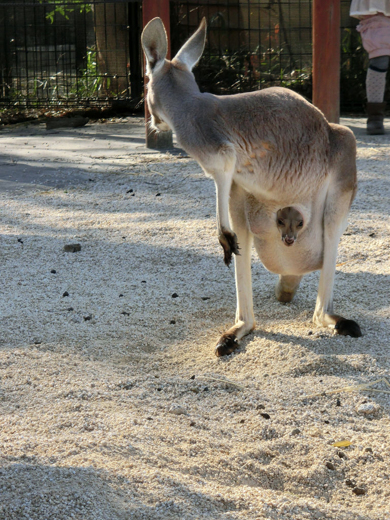 f:id:mishinon:20191214194728j:plain