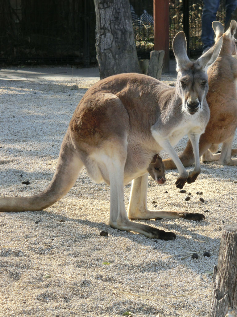 f:id:mishinon:20191214194749j:plain