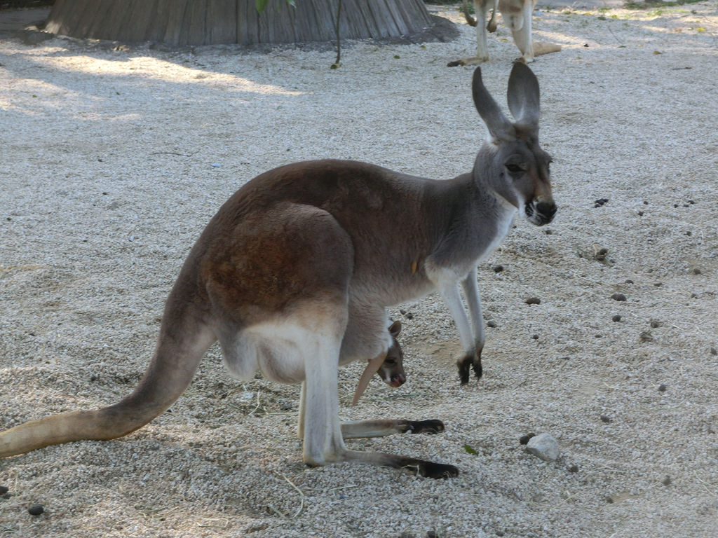 f:id:mishinon:20191214194825j:plain