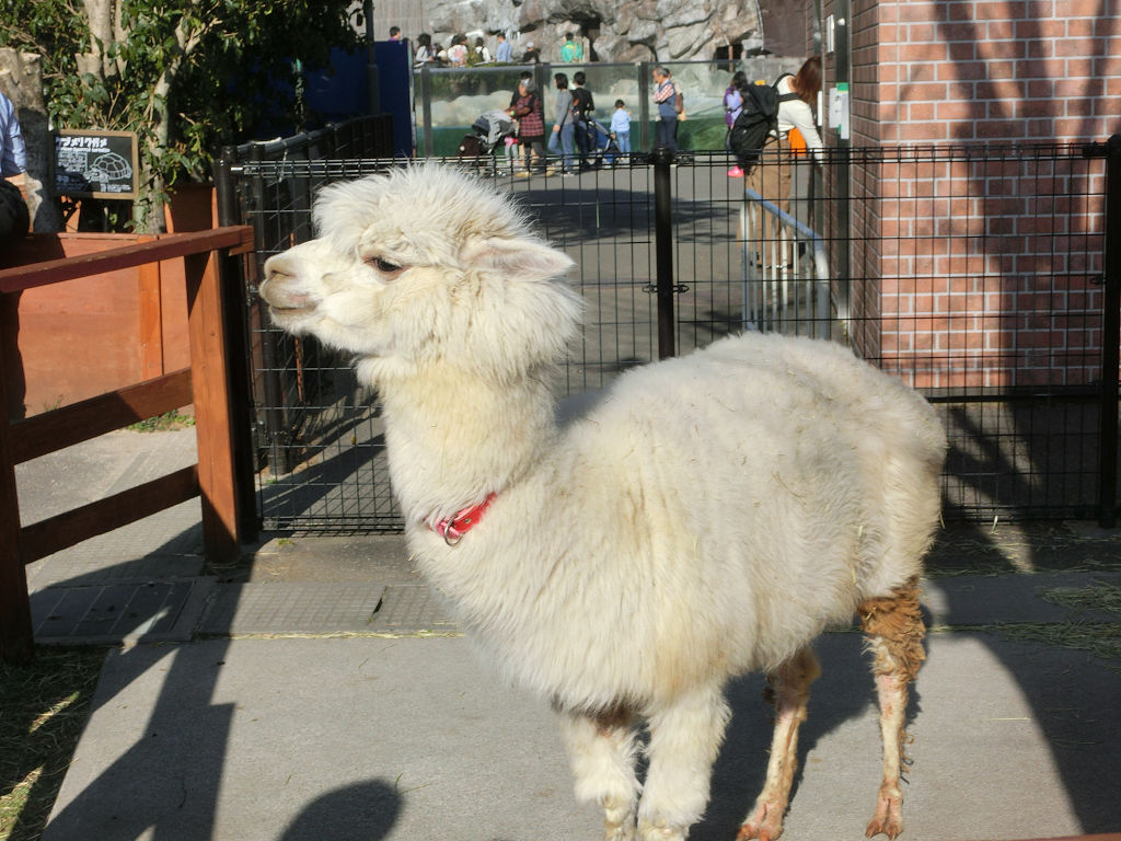 f:id:mishinon:20191214194901j:plain