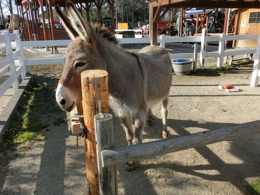 f:id:mishinon:20191214194937j:plain