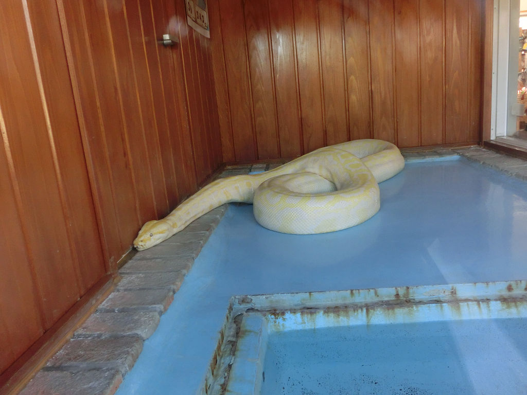 f:id:mishinon:20191214195016j:plain