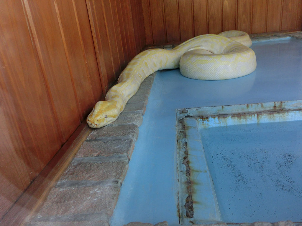 f:id:mishinon:20191214195036j:plain