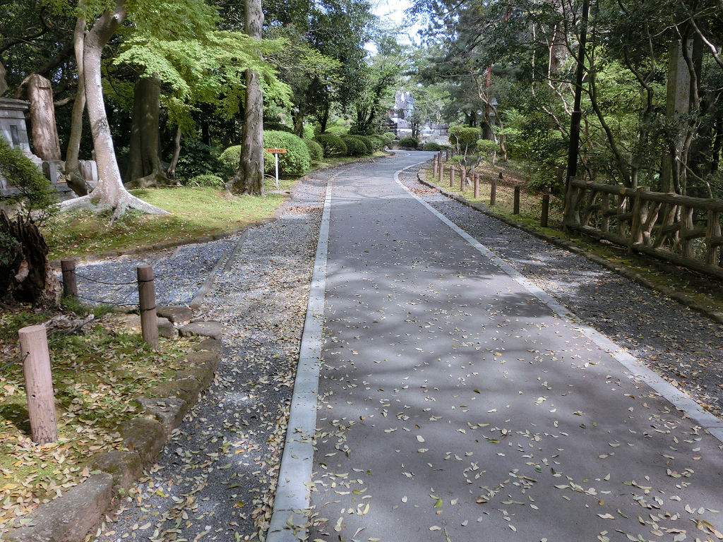 f:id:mishinon:20191226150704j:plain