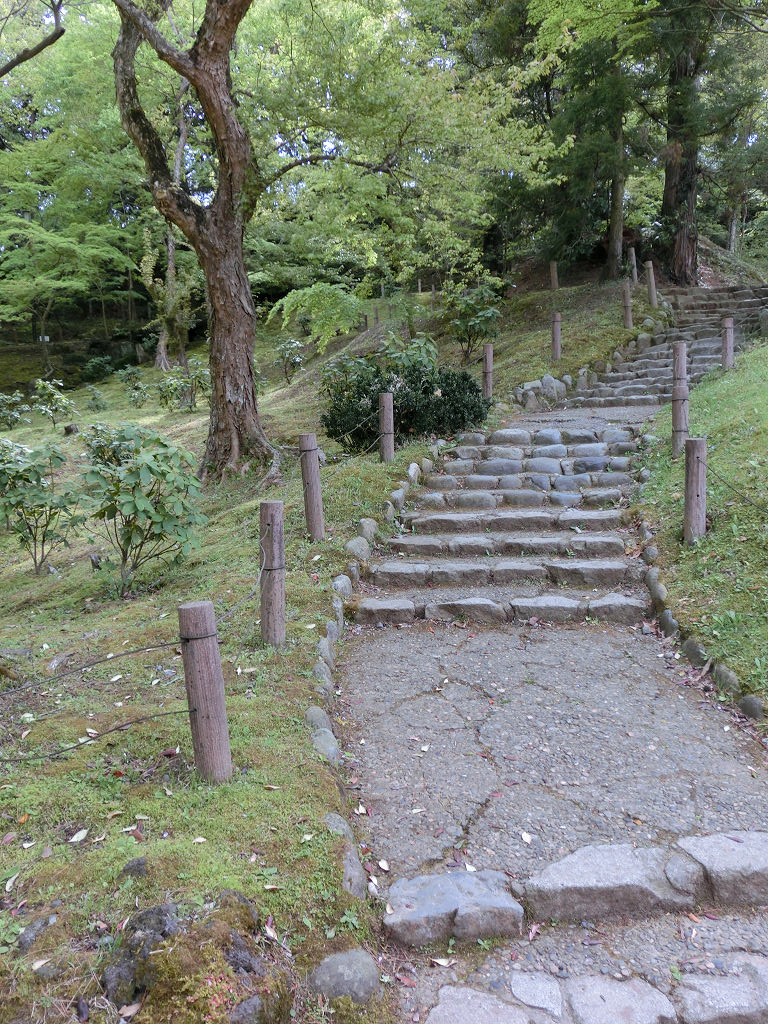 f:id:mishinon:20191226151002j:plain
