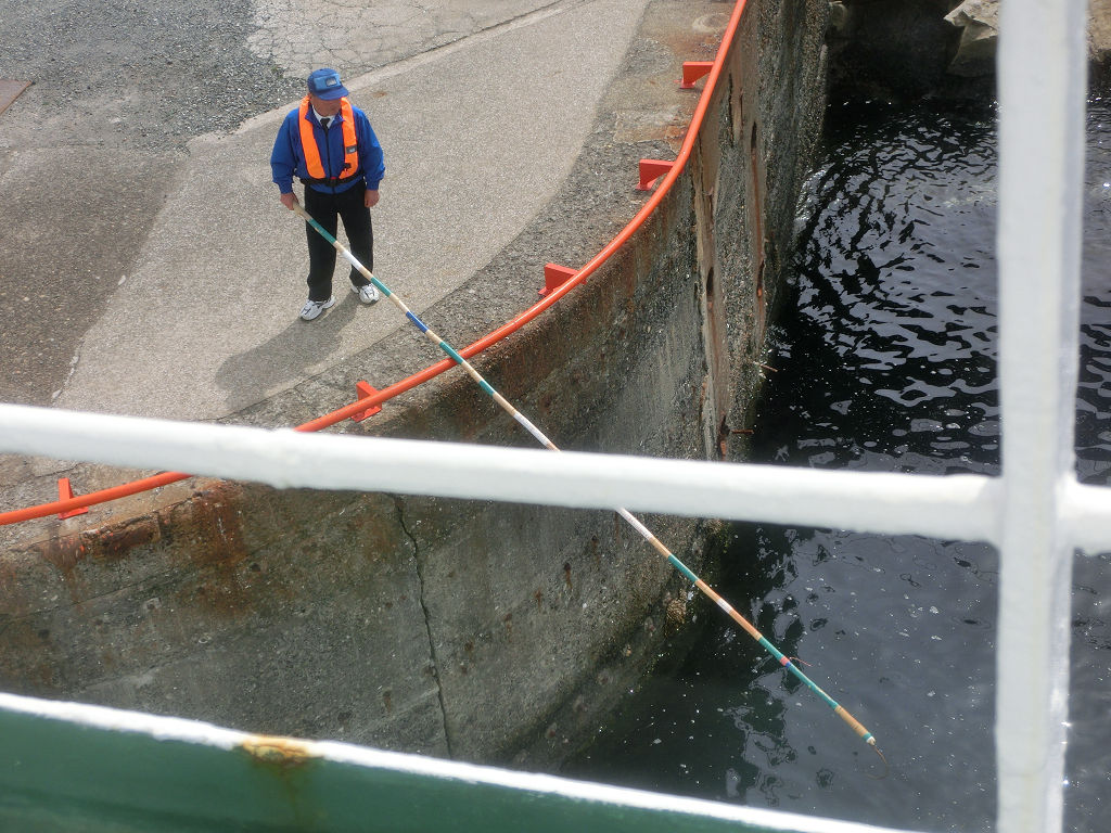 f:id:mishinon:20191231130149j:plain f:id:mishinon:20191231130149j:plain