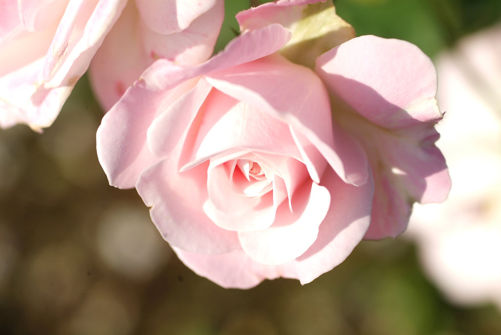 f:id:mishinon:20200122210403j:plain