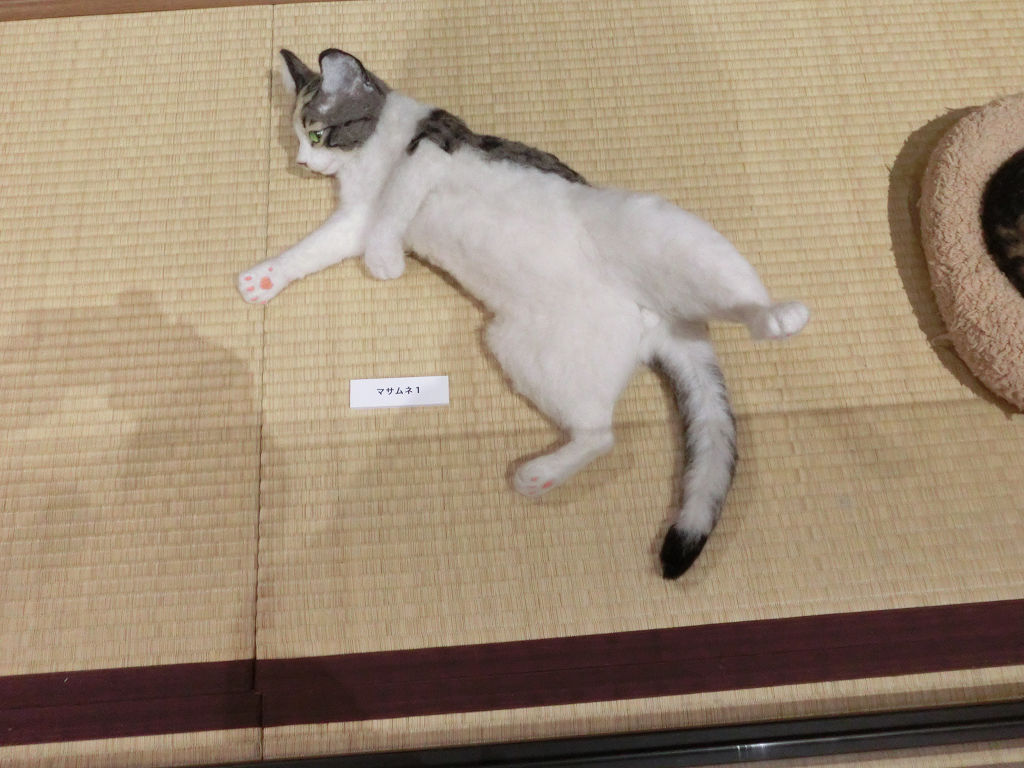 f:id:mishinon:20200130100055j:plain