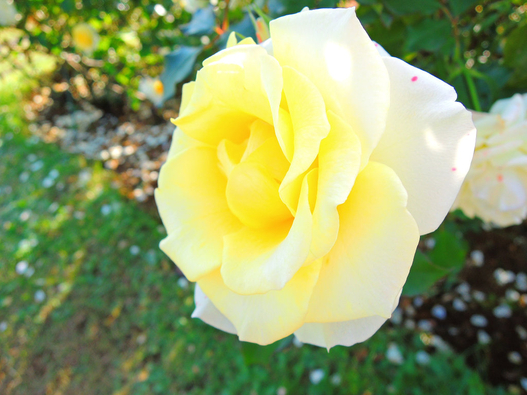 f:id:mishinon:20200212221247j:plain