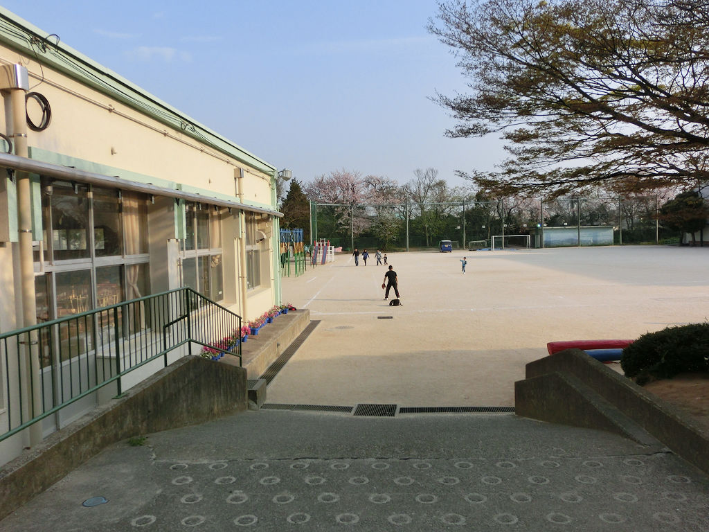f:id:mishinon:20200213100559j:plain f:id:mishinon:20200213100559j:plain