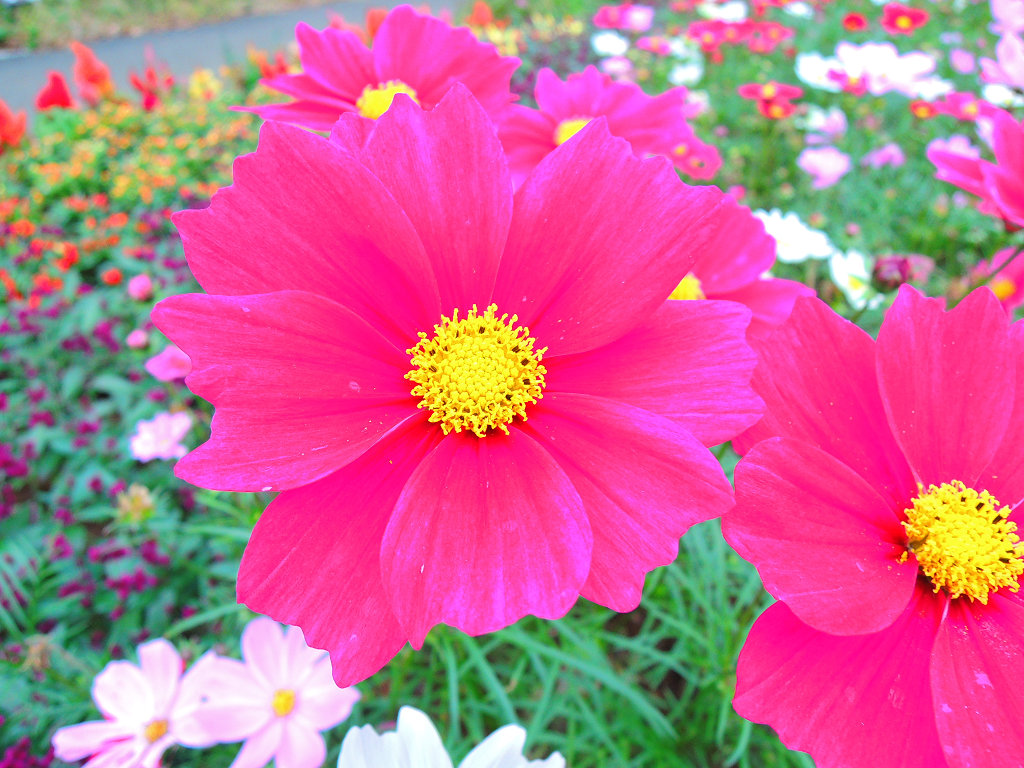 f:id:mishinon:20200326221721j:plain