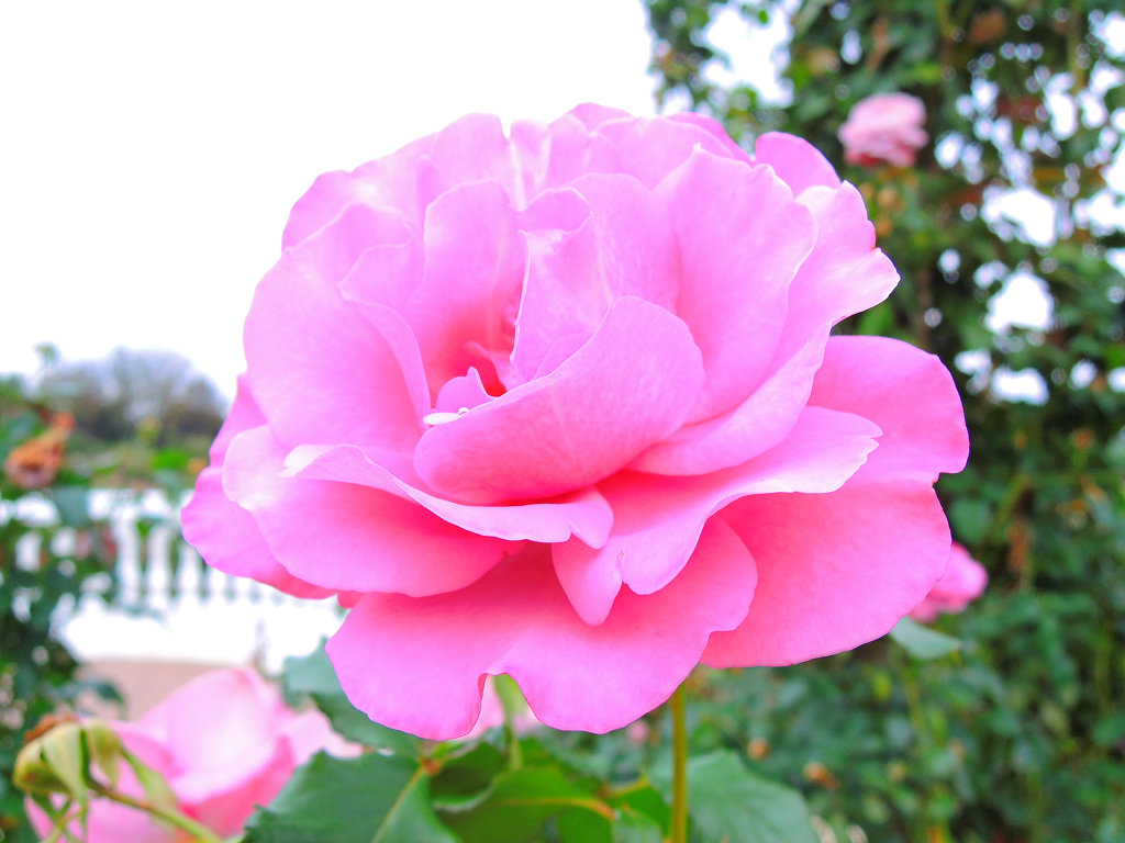 f:id:mishinon:20200329141834j:plain